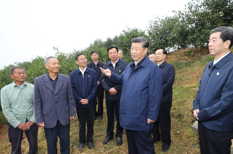 　　9月16日至18日，中共中央總書記、國家主席、中央軍委主席習(xí)近平在河南考察。這是17日上午，習(xí)近平來到信陽市光山縣槐店鄉(xiāng)司馬光油茶園，同正在勞作的村民和管理人員交流。 新華社記者 鞠鵬 攝