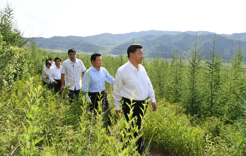 7月15日至16日，中共中央總書記、國家主席、中央軍委主席習(xí)近平在內(nèi)蒙古考察并指導(dǎo)開展“不忘初心、牢記使命”主題教育。這是15日下午，習(xí)近平在赤峰市喀喇沁旗馬鞍山林場林區(qū)，沿著崎嶇的護(hù)林小道察看林木長勢。